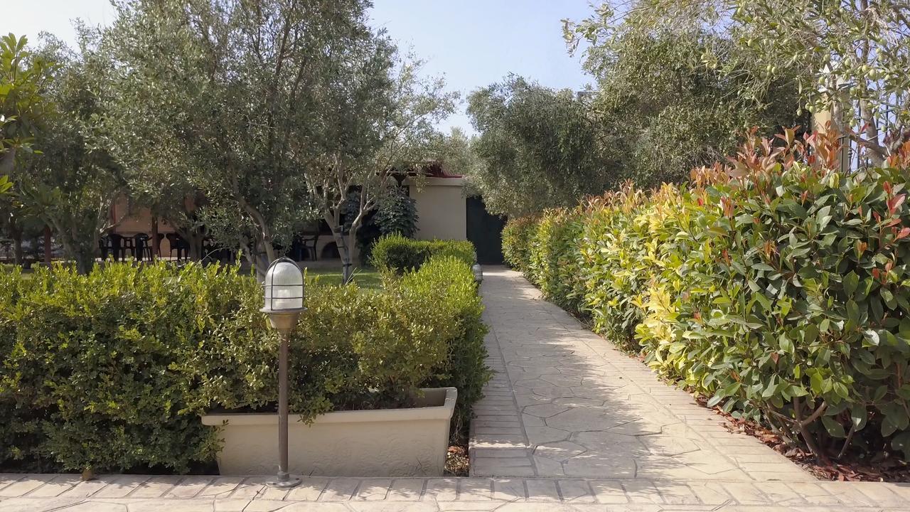 Apartment Gaia & Nea Plagia