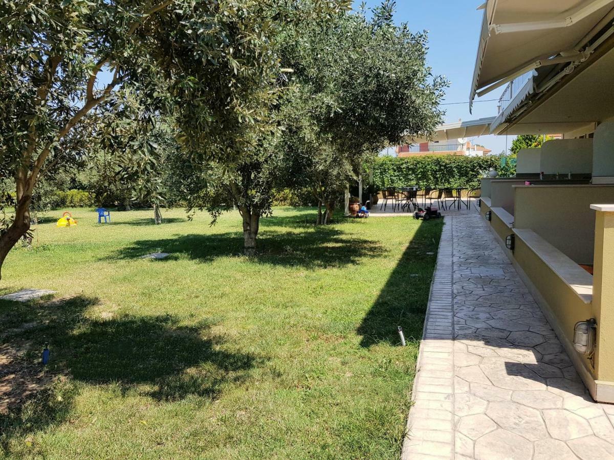 Apartment Gaia & Nea Plagia